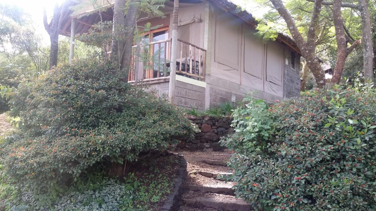 Villa Maili Saba Camp à Nakuru Extérieur photo