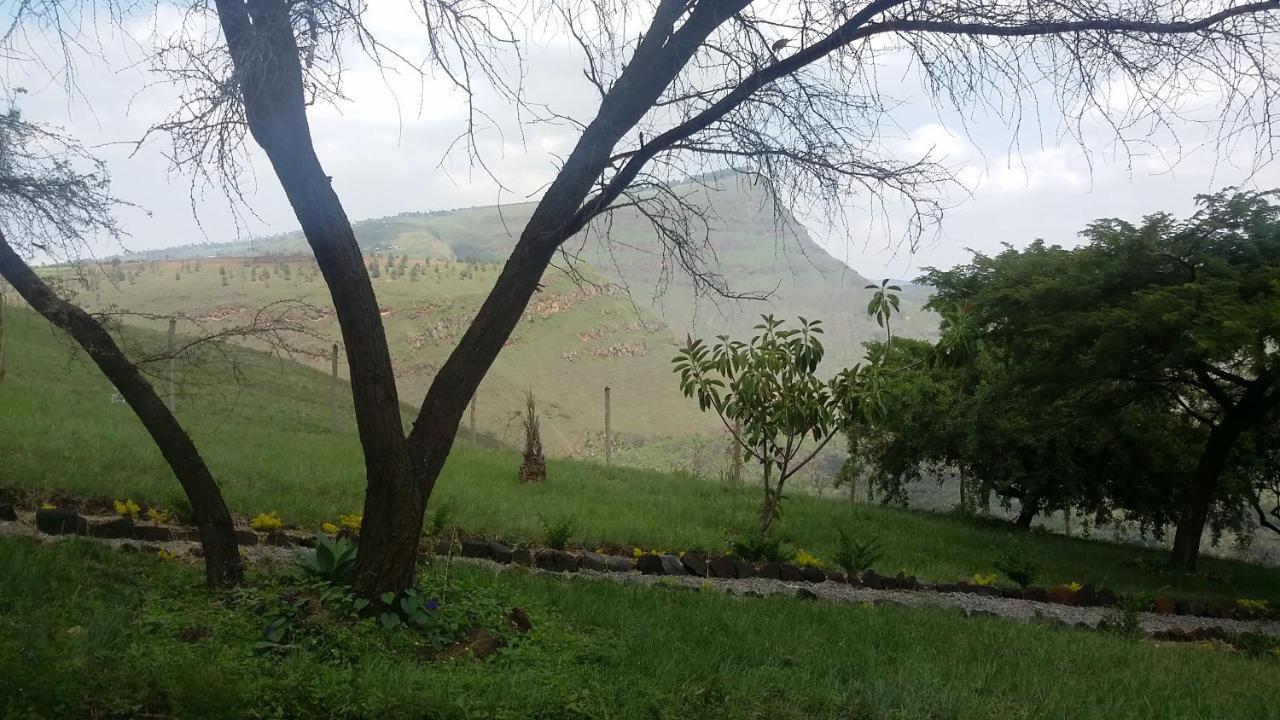 Villa Maili Saba Camp à Nakuru Extérieur photo