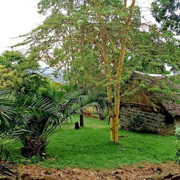 Villa Maili Saba Camp à Nakuru Extérieur photo